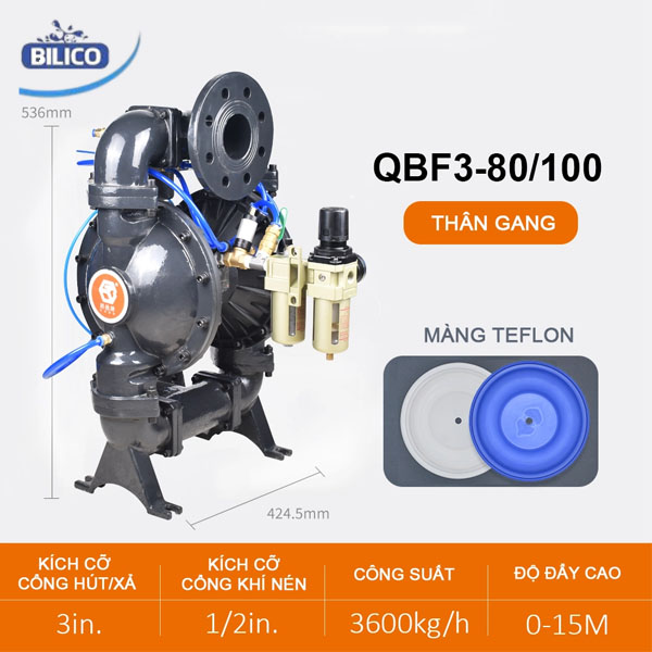 Bơm Màng Bột QBF3-80/100 GANG