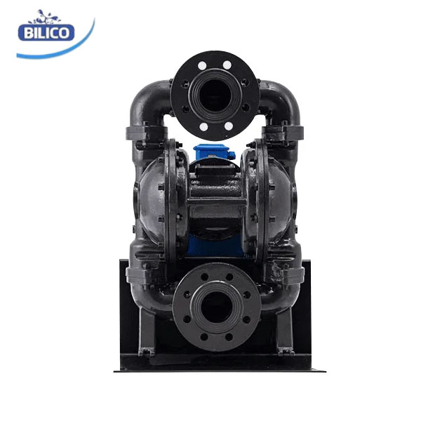 Máy Bơm Màng Điện DBY3-100 GANG - Ảnh 3