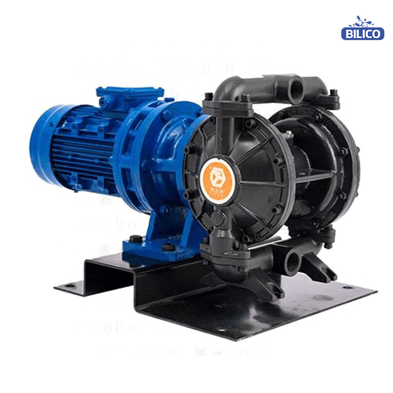 Bơm màng điện BFD-25 Gang - Ảnh 2