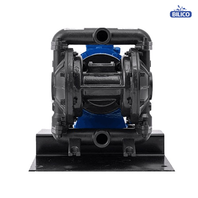 Bơm màng điện BFD-25 Gang - Ảnh 3